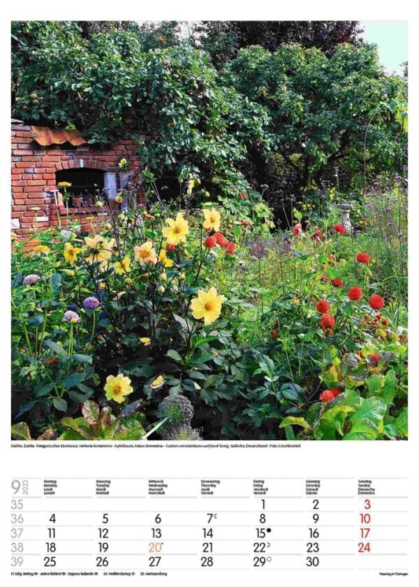 Gartenträume