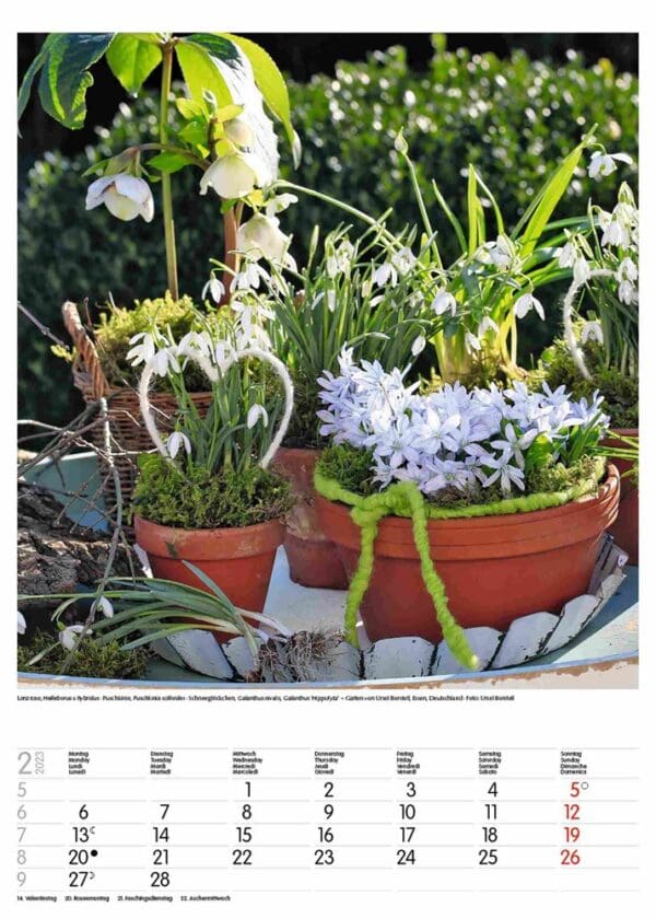 Gartenträume