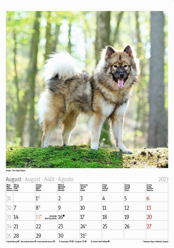 Hunde