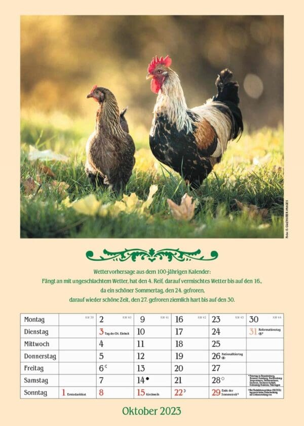 Kalender Landleben mit hundertjährigem