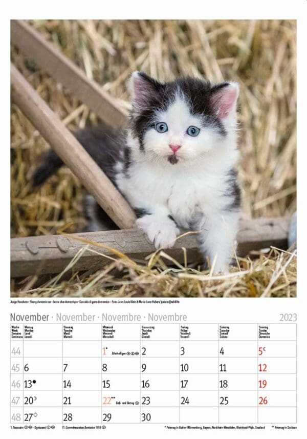 Tierkinder