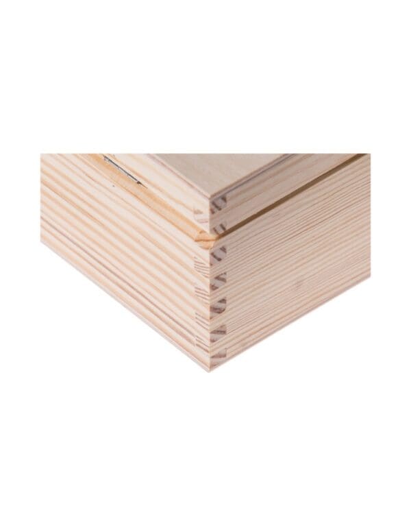 Holzkiste 22x16x8 cm
