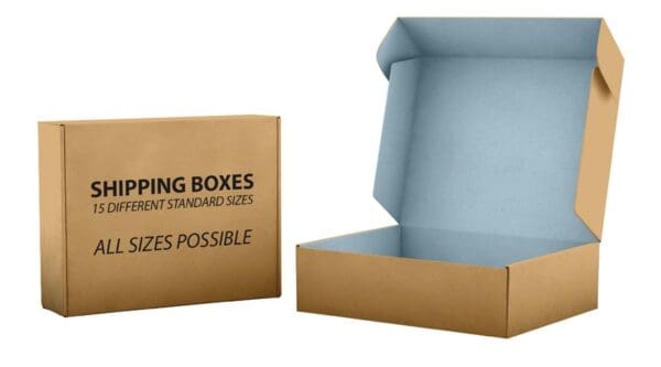 Versandbox 300x200x70 mm