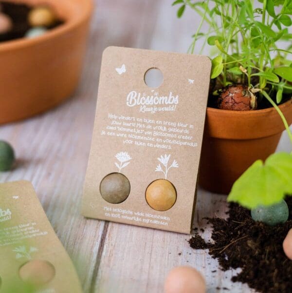 Blossombs Blumenbombe -  Blister 2 Stück
