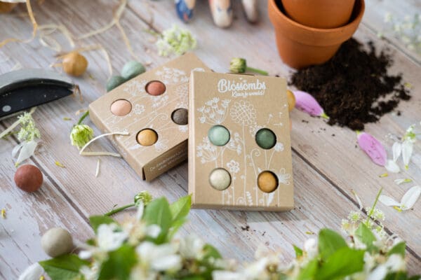 Blossombs Blumenbombe -  Geschenkkarton mini 4 Stück