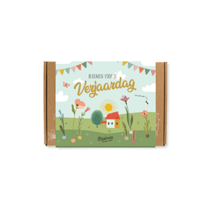 Blossombs Blumenbomben - Geschenkkarton schmal 7 Stück