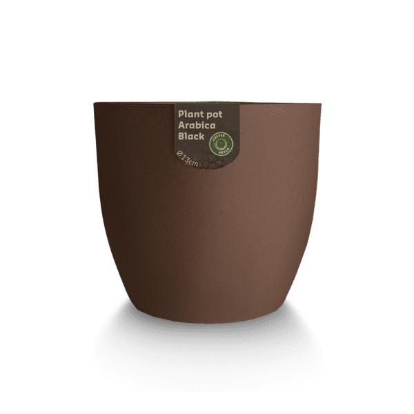 Coffee Based - Pflanztopf Kaffeebohnen