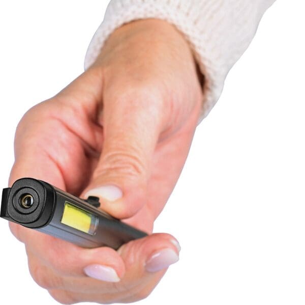 Profi Inspection Light Laser 200 L