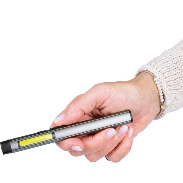 Profi Inspection Light Laser 200 L