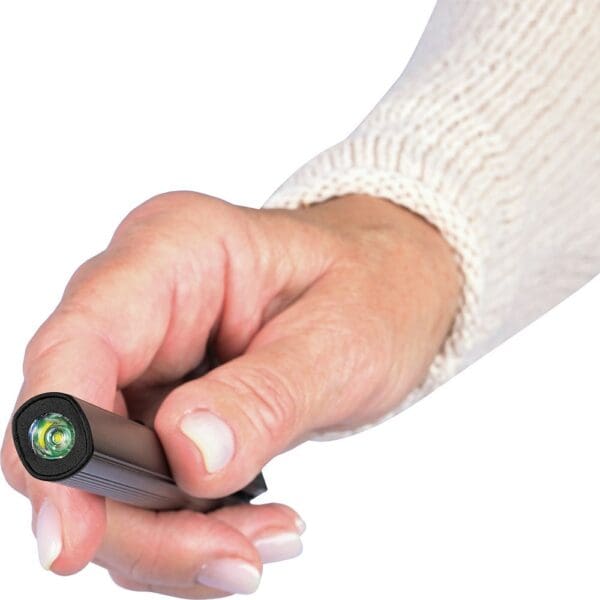 Profi Inspection Light UV 200 L