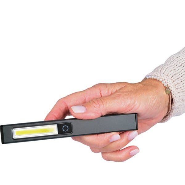 Quick Charge Inspection Light 150 L