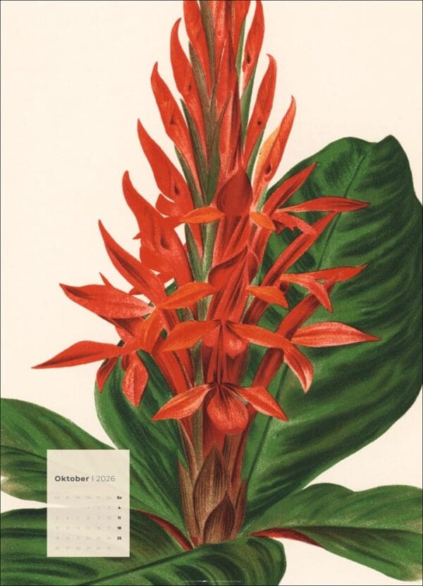 Botanicals