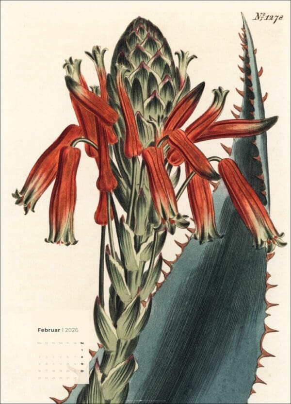Botanicals