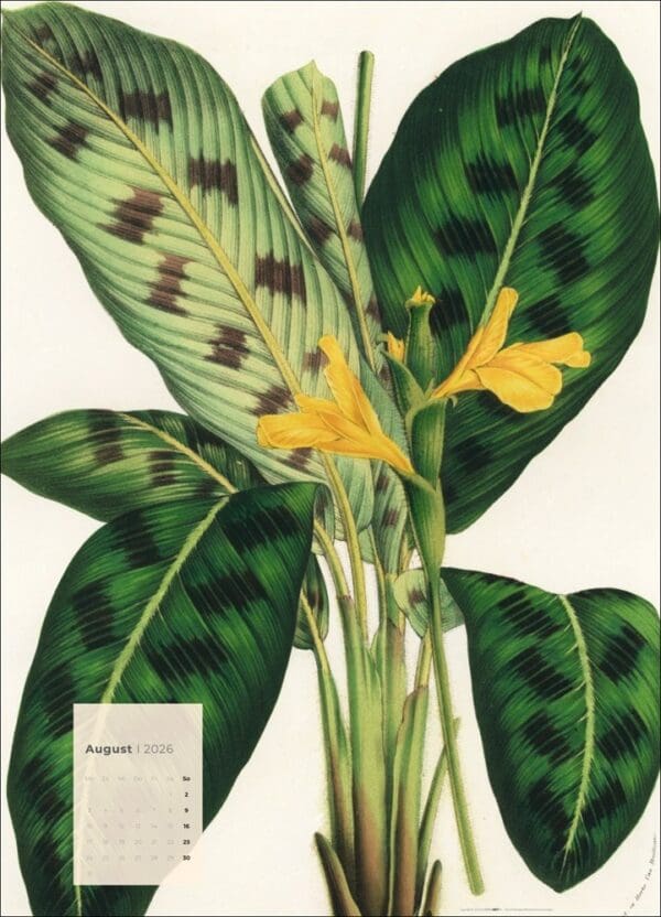 Botanicals