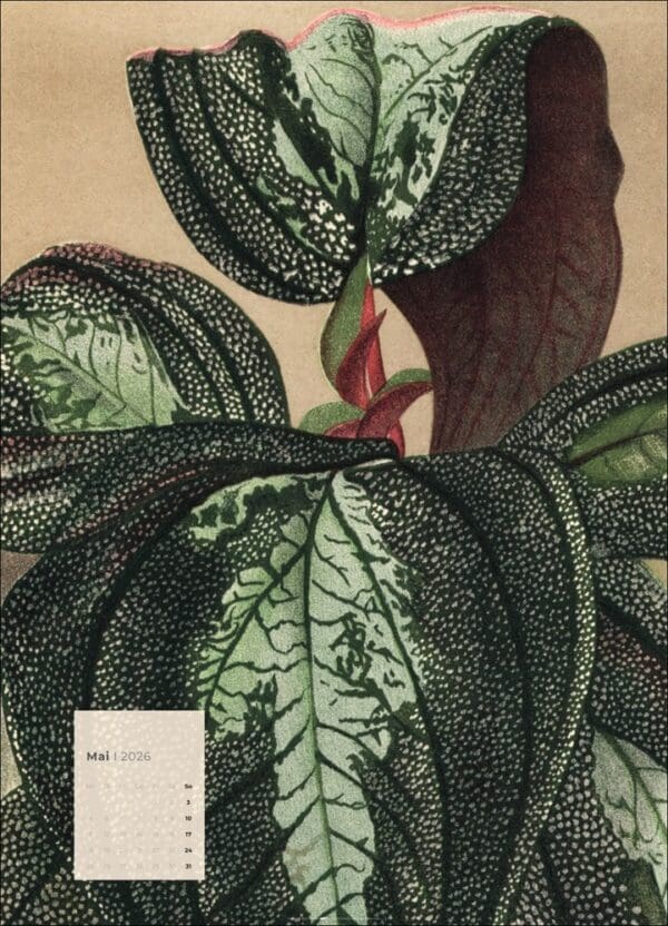 Botanicals