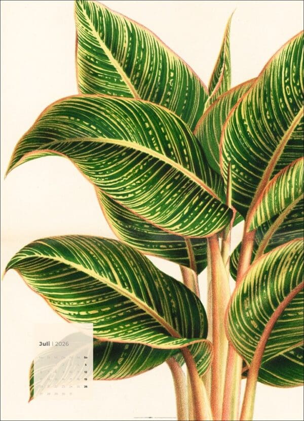 Botanicals