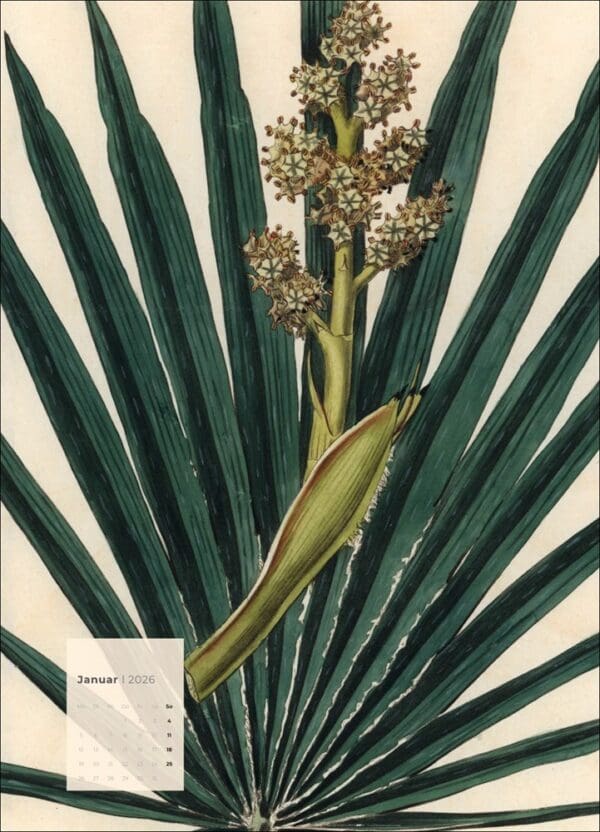 Botanicals