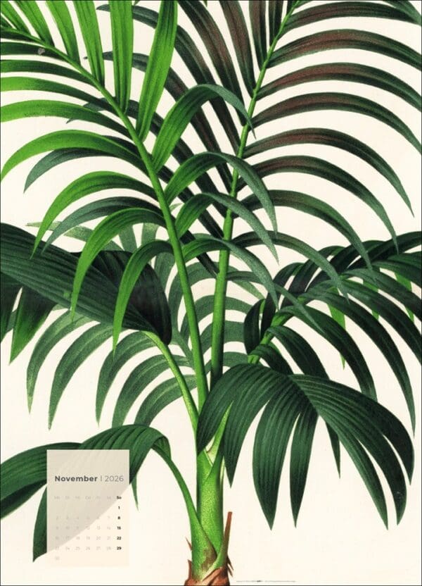 Botanicals