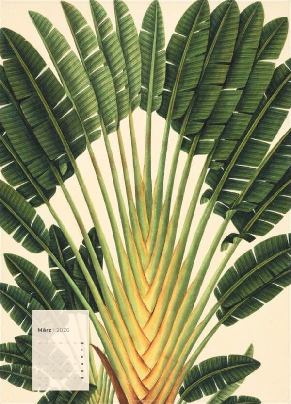 Botanicals
