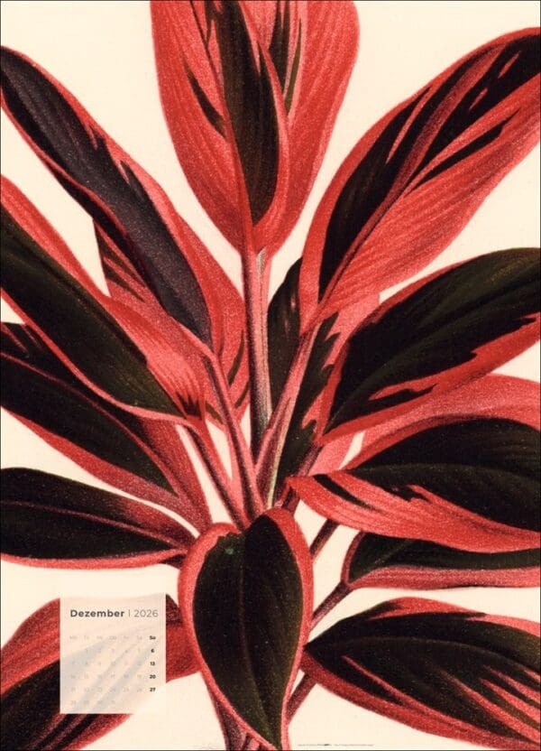 Botanicals