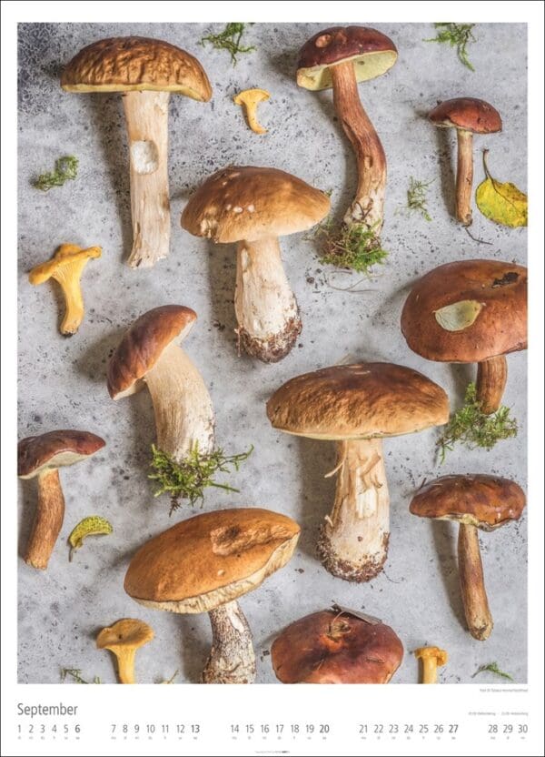 Food Gallery