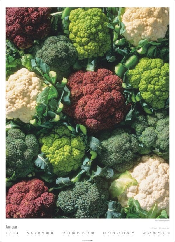 Food Gallery