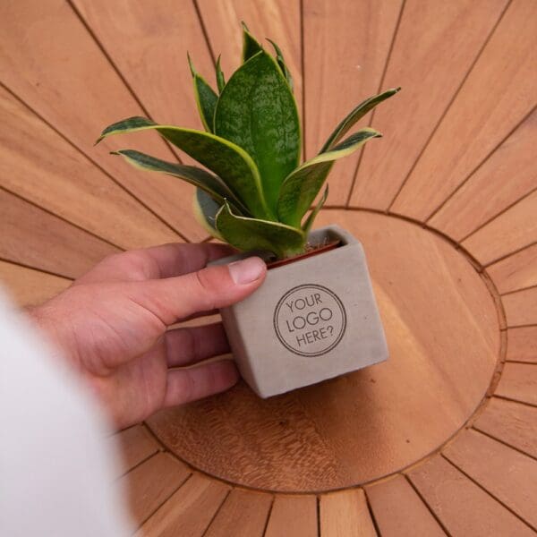 Congreet® plantpots small