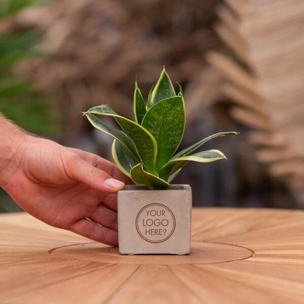 Congreet® plantpots small