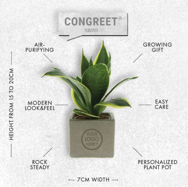 Congreet® plantpots small