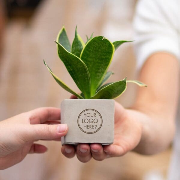 Congreet® plantpots small