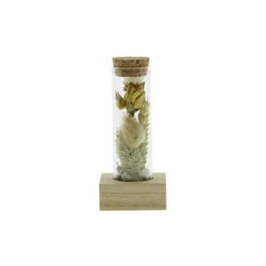 Dried Flowers - Single tube & wood