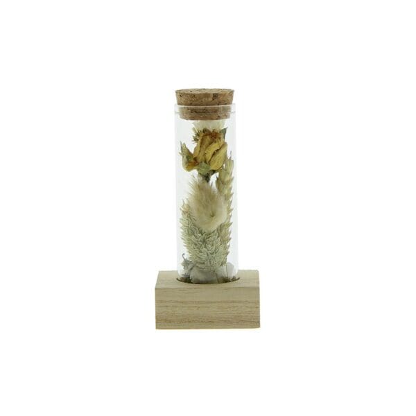Dried Flowers - Single tube & wood