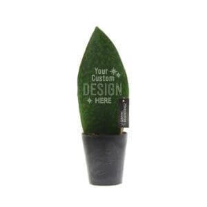 Greenbrandingz® - Sansevieria