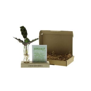Hydroponic plants - Cardholder & tube