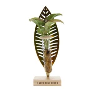 Hydroponic plants - Leaf in giftbox