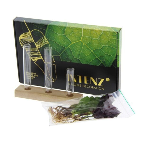 Hydroponic plants - Letterbox deluxe
