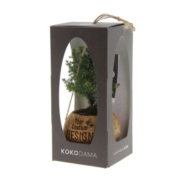 Kokodama® - Christmas tree (S)