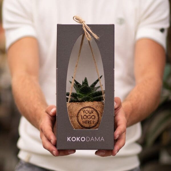 Kokodama® - Easy care mix (S)