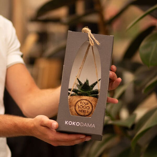 Kokodama® - Easy care mix (S)