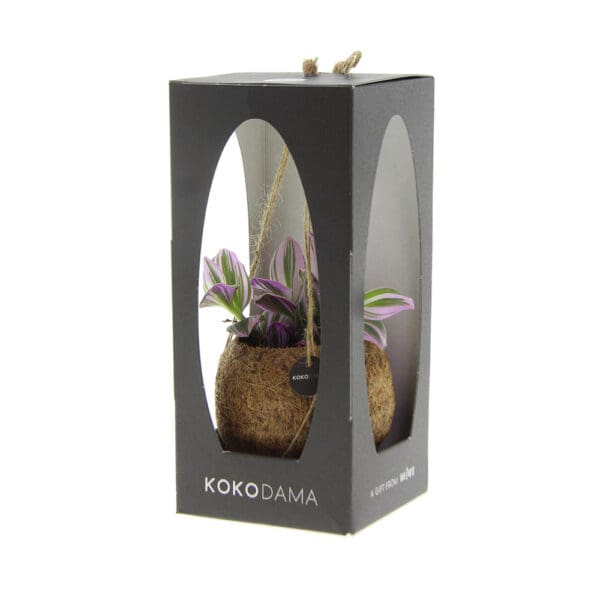 Kokodama® - Green mix (S)