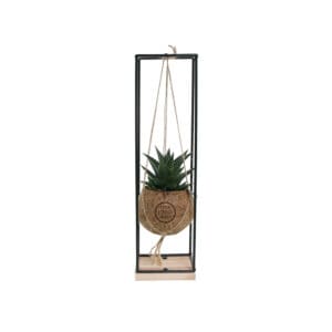 Kokodama® - Hanging easy care mix (S)