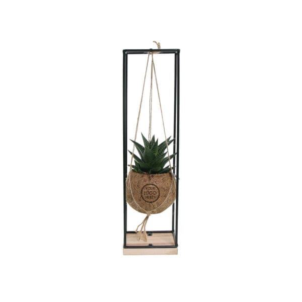Kokodama® - Hanging easy care mix (S)