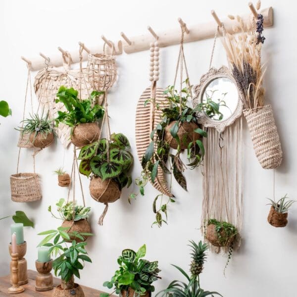 Kokodama® - Hanging green mix (S)
