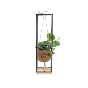 Kokodama® - Hanging green mix (S)