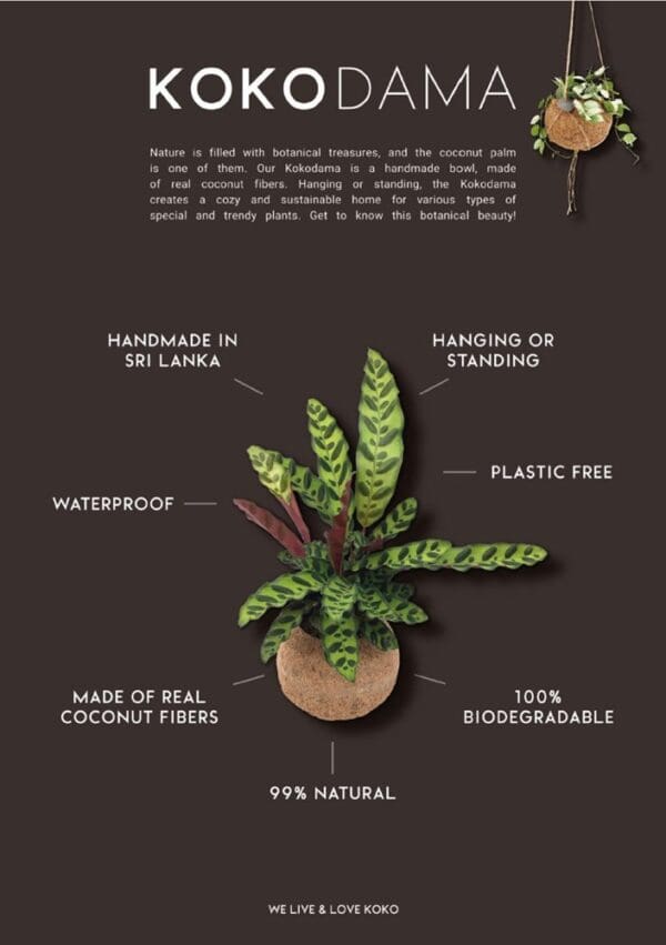 Kokodama® - Industrial easy green mix (M)