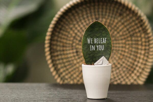 Message Printz® - Baby leaf in Geschenkbox