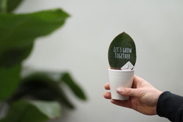 Message Printz® - Baby leaf in Geschenkbox