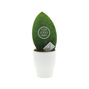 Message Printz® - Baby leaf in Geschenkbox