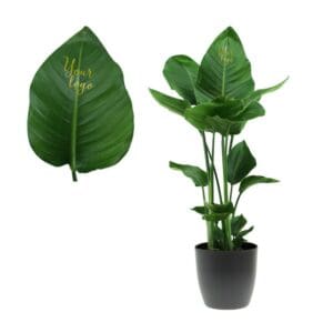 Message Printz® - Strelitzia large