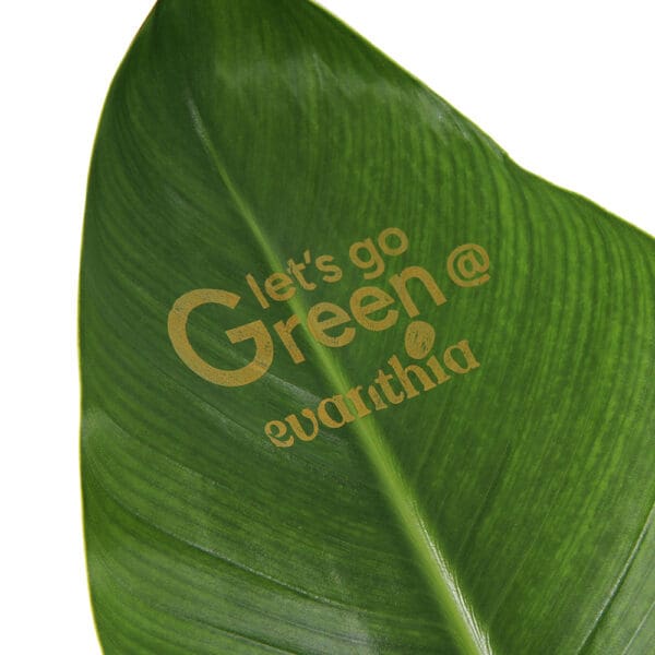 Message Printz® - Strelitzia large